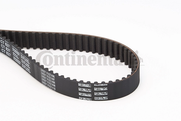 Timing Belt